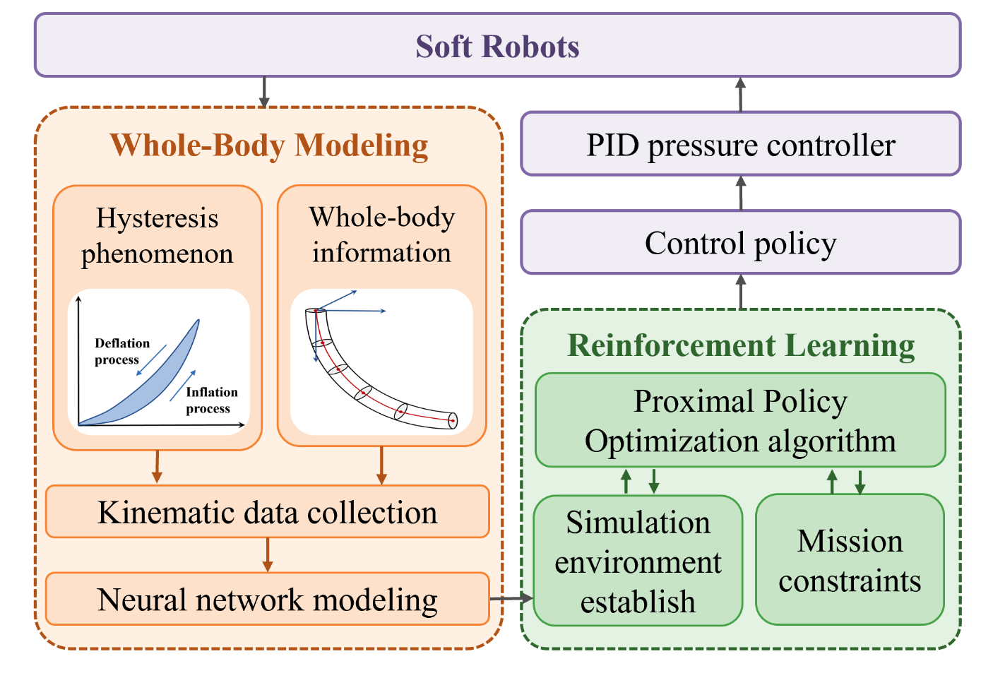 Hysteresis-Aware Neural Network Modeling and Whole-Body Reinforcement Learning Control of Soft Robots